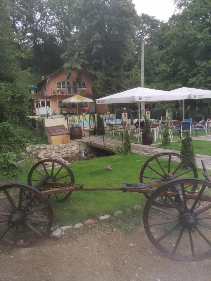 Casa De Vacanta Emd Ieşelniţa Bagian luar foto