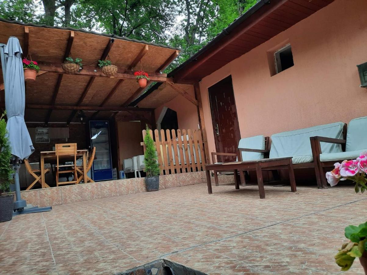 Casa De Vacanta Emd Ieşelniţa Bagian luar foto