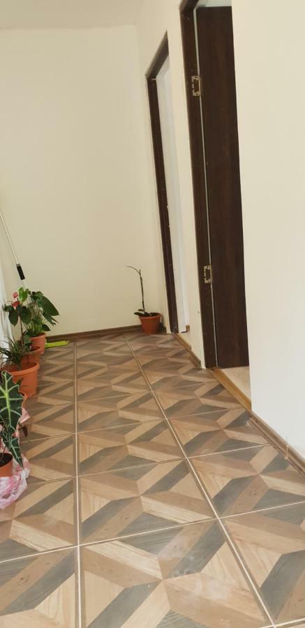 Casa De Vacanta Emd Ieşelniţa Bagian luar foto